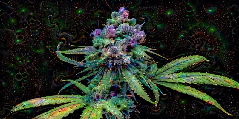 Delta-10 THC Cannabis