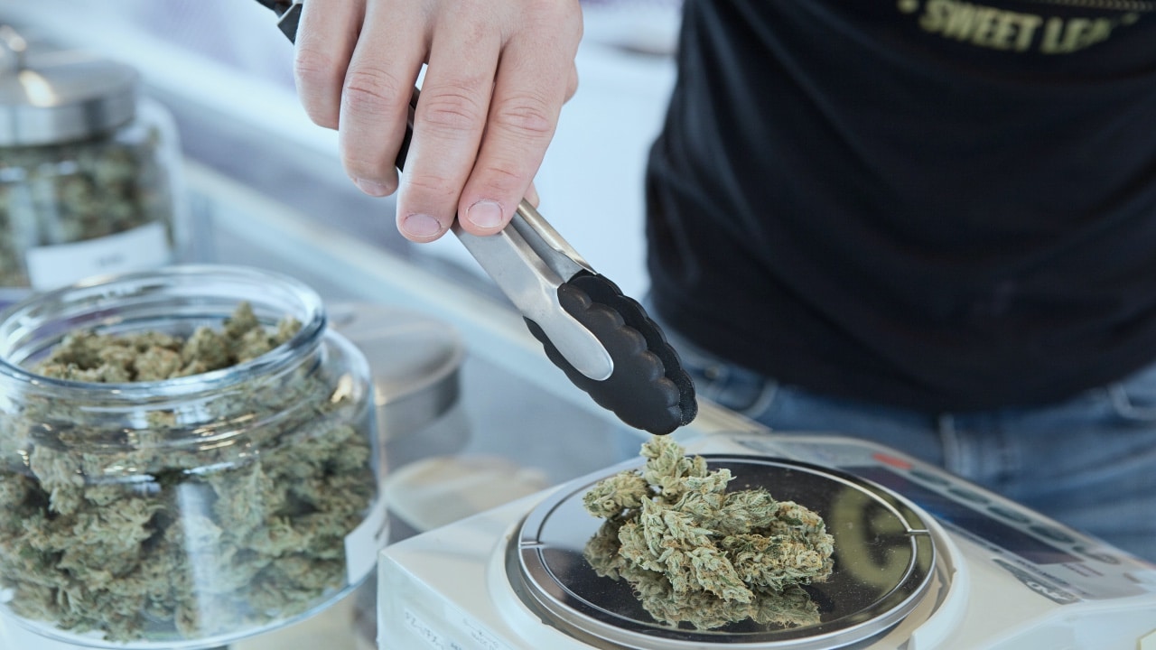 in Deutschland legal Cannabis kaufen