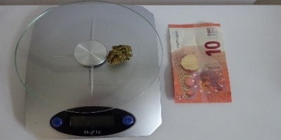 Cannabis finden kaufen