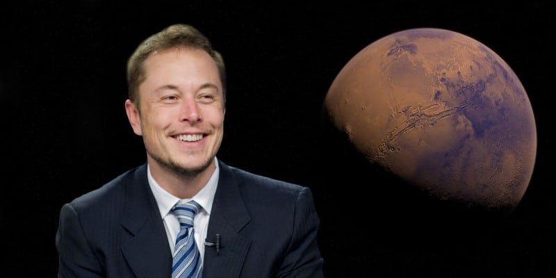 Elon Musk Psychedelika