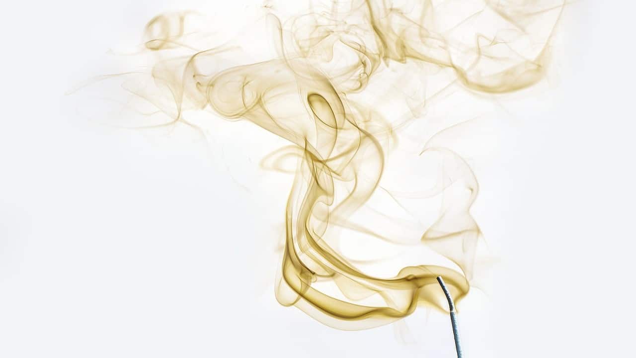 Geruch Cannabisprodukte Ranking
