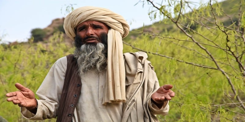 Taliban Cannabis kaufen