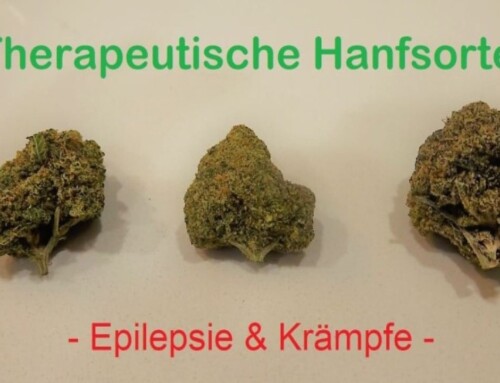 Hanfsorten & Seeds: Marihuana anbauen bei Epilepsie