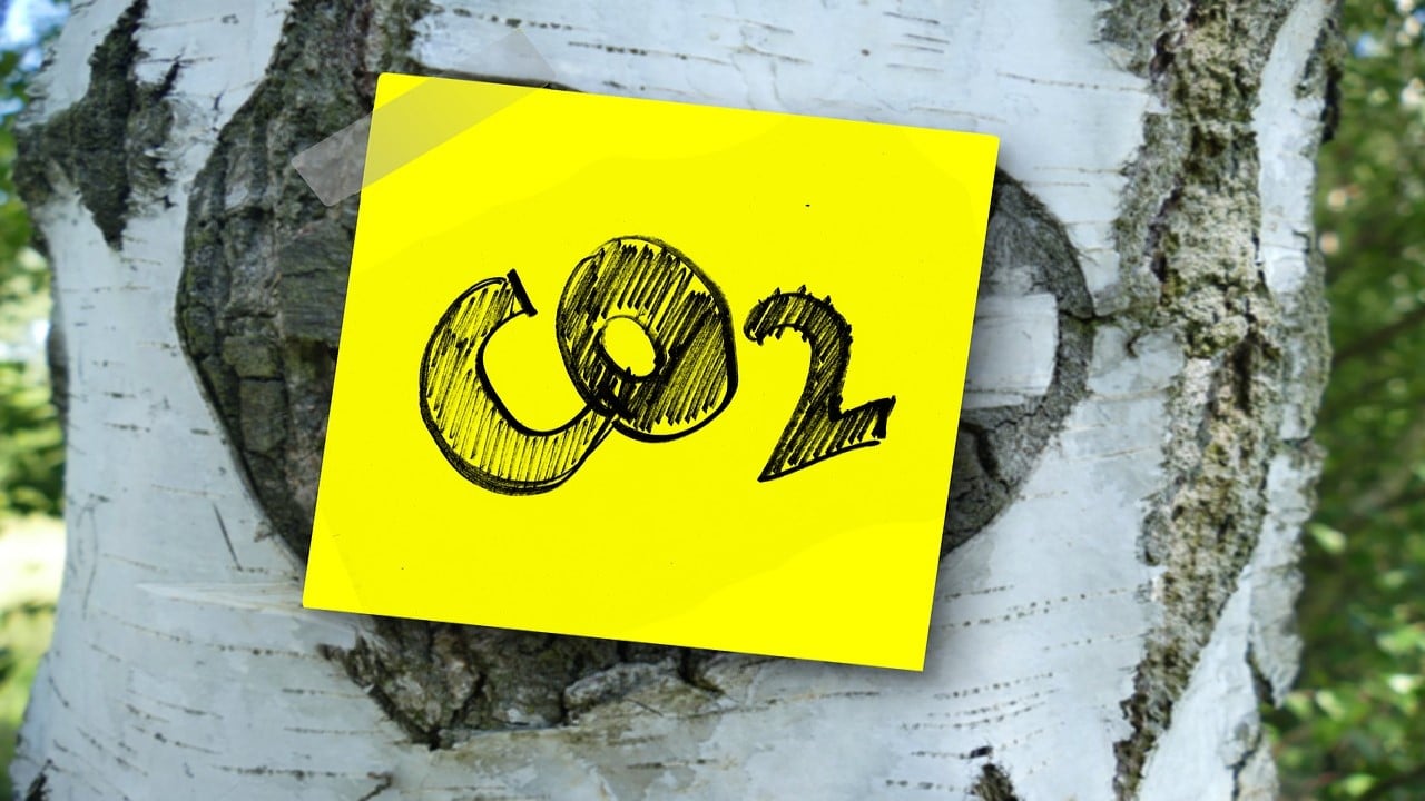 Cannabis Anbauen CO2-Verbrauch
