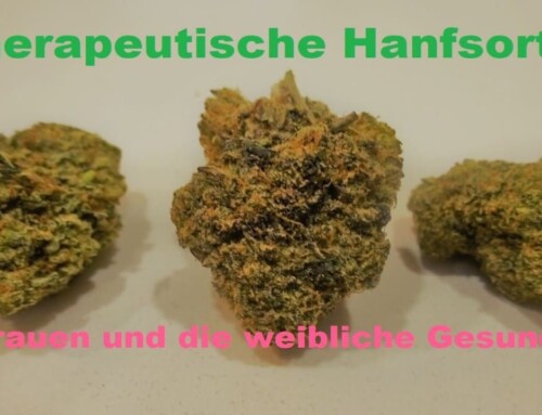 Cannabis Anbau: Hanfsorten, Seeds und Marihuana für Frauen