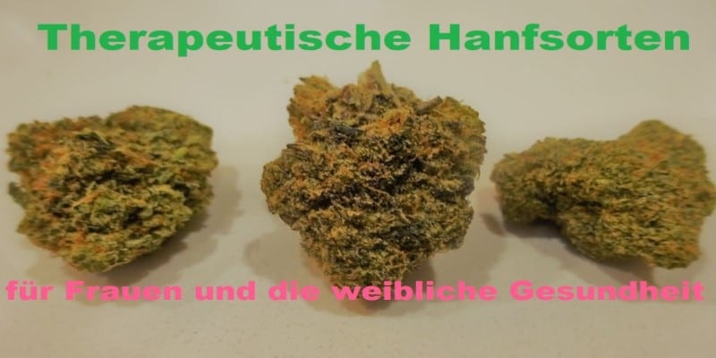 Hanfsorten Seeds Frauen