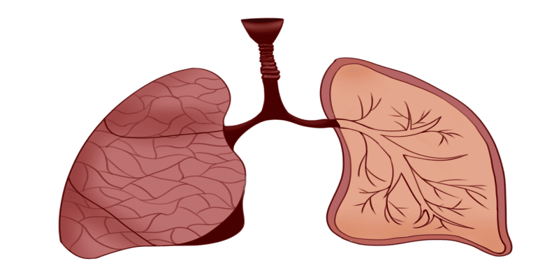 Cannabis Freigabe Forschung