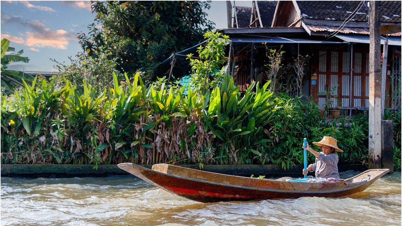 Cannabis anbauen Thailand