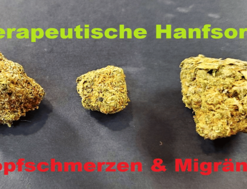 Hanfsorten und Seeds: Marihuana gegen Migräne und Kopfschmerzen