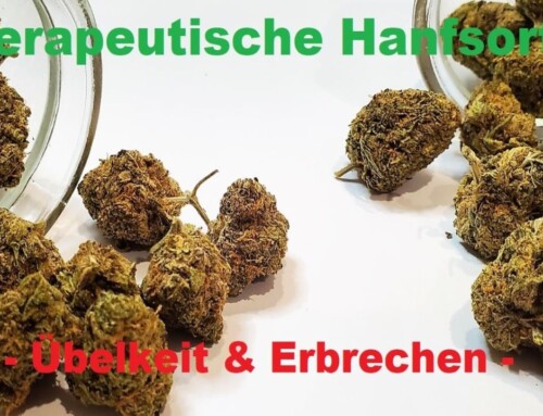 Cannabis Anbau: Hanfsorten, Seeds & Marihuana bei Übelkeit