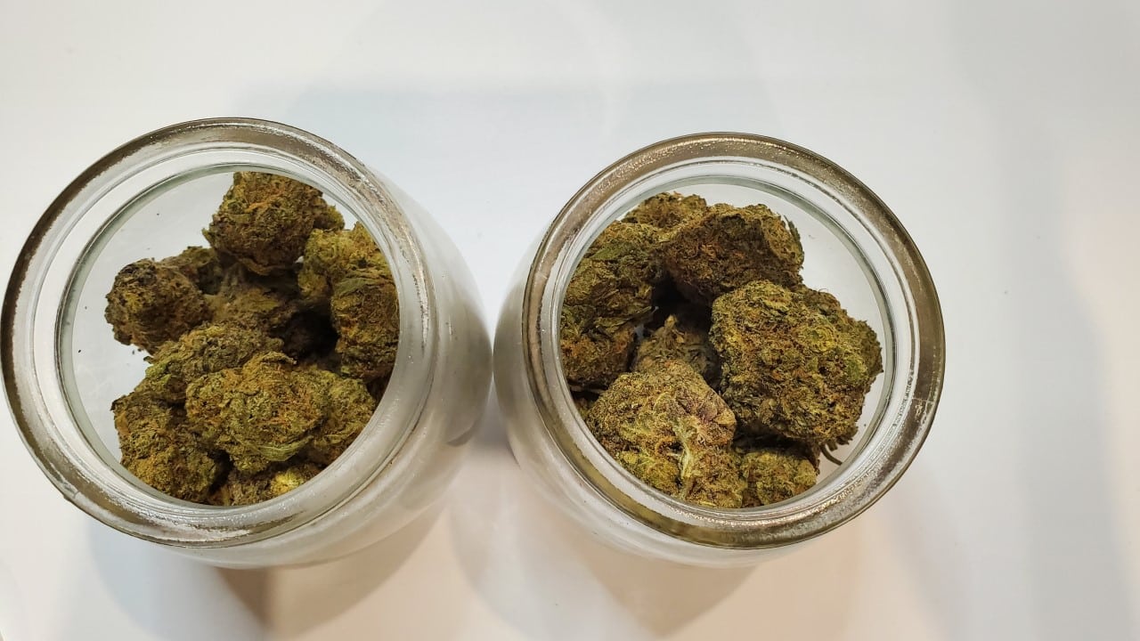 Cannabis Konsum Grasblüten