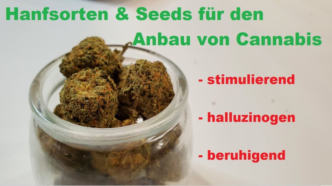 Marihuana Seeds Wirkung