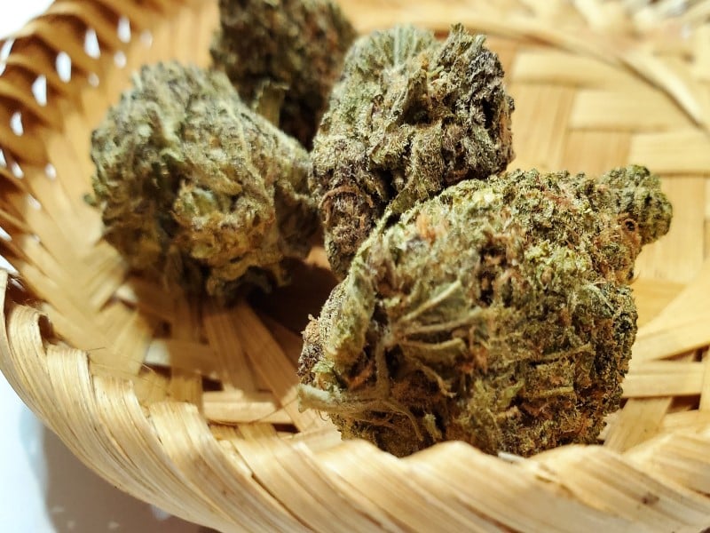 Cannabis Anbau