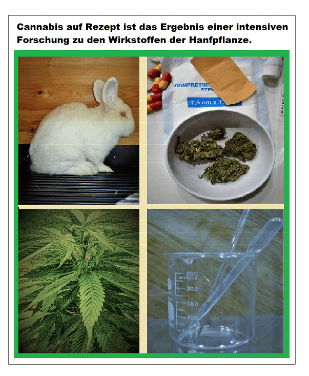 Cannabis auf Rezept