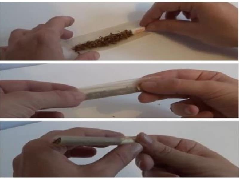 Joint bauen Cannabis