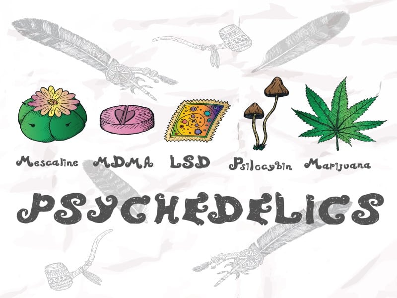 Psychedelika Mushrooms Psilocybin