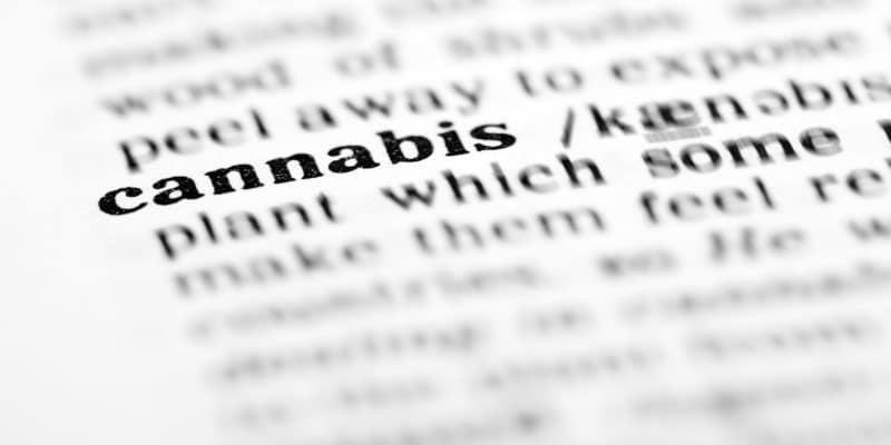 Cannabis Ratgeber Wirkung