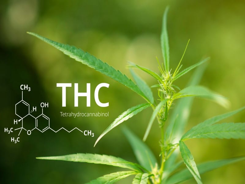 THC Tetrahydrocannabinol 2