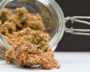 Cannabis Aufbewahrung Zubehör