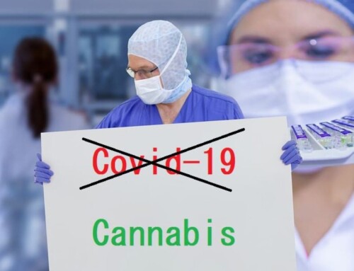CSU droht: Cannabis Legalisierung überlastet Gesundheitssystem!