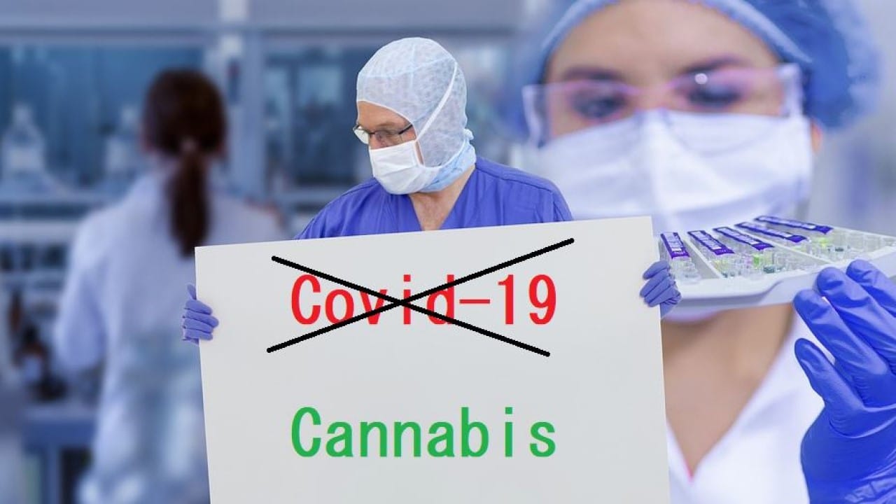 Cannabis Legalisierung Gesundheitssystem