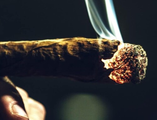 Cannabis Kultur: Fronto Blunts kiffen