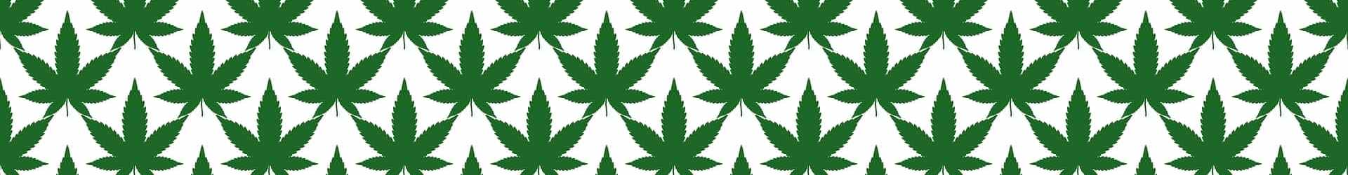 cannabis