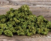 Cannabis Terpene Wirkung
