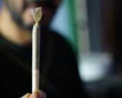 100 Tage Cannabis-Legalisierung