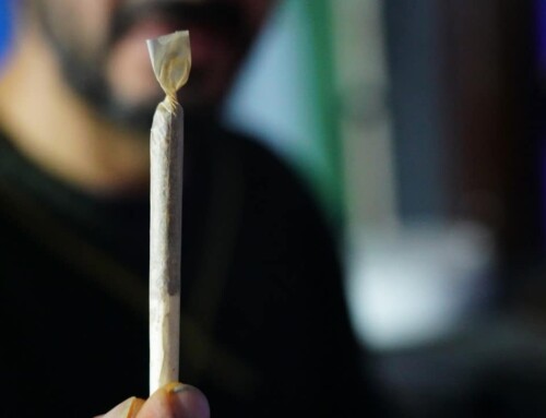 100 Tage Cannabis-Legalisierung: Die erste Bilanz zum Hanf in Deutschland!